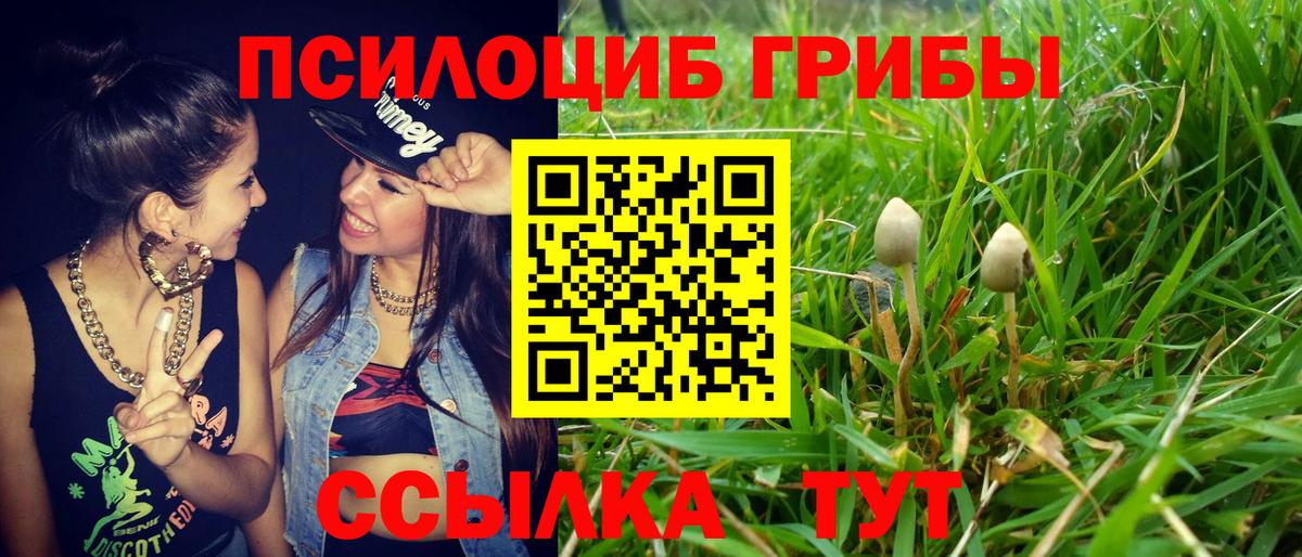 Псилоцибиновые грибы мицелий  Вход с VPN  Прокопьевск  Галлюциногенные грибы мухоморы 