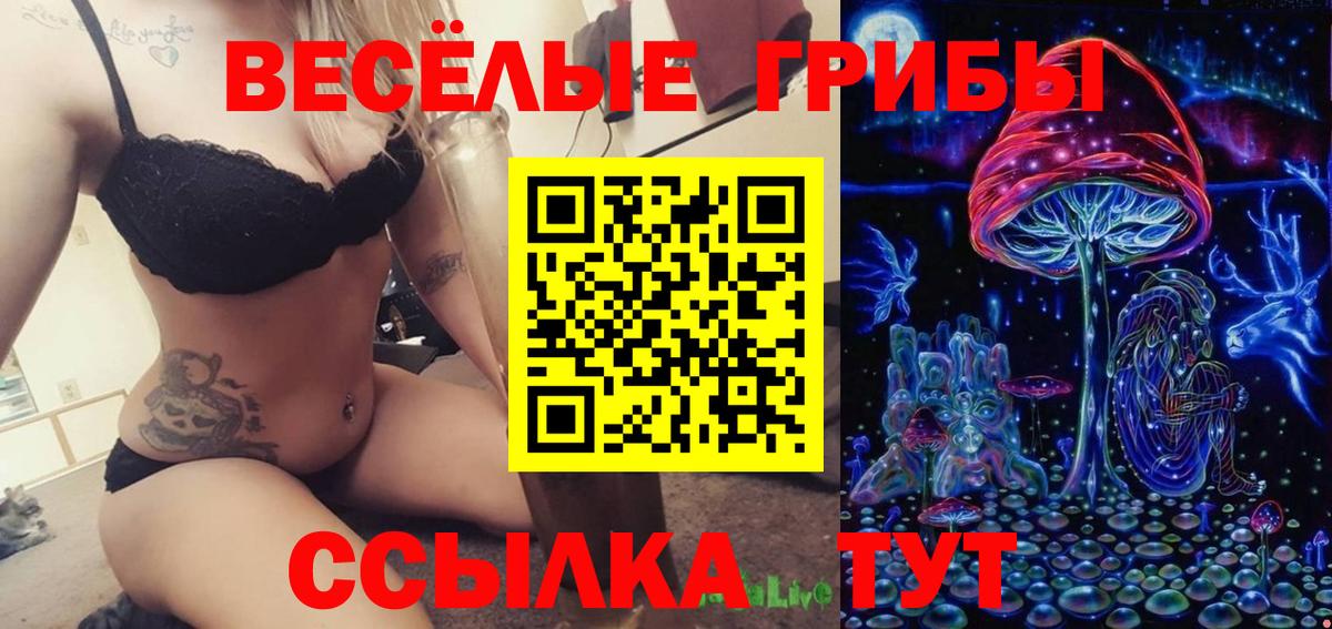 Псилоцибиновые грибы Cubensis Прокопьевск